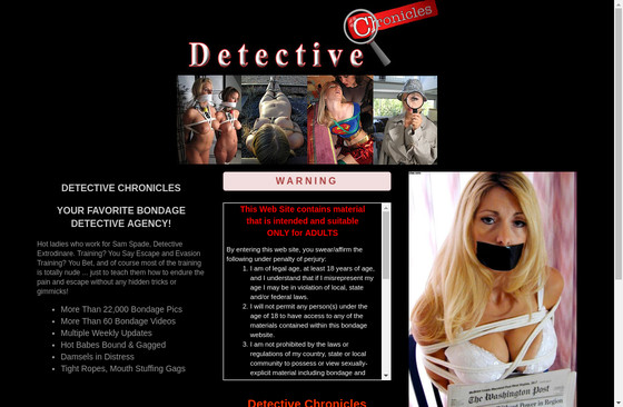 Detective Chronicles