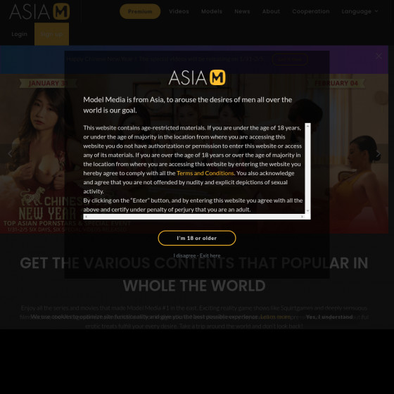 model media asia