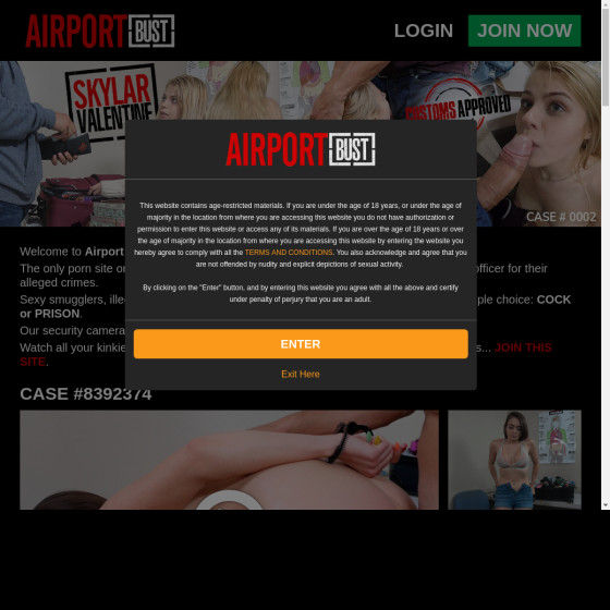 AirportArrest.com