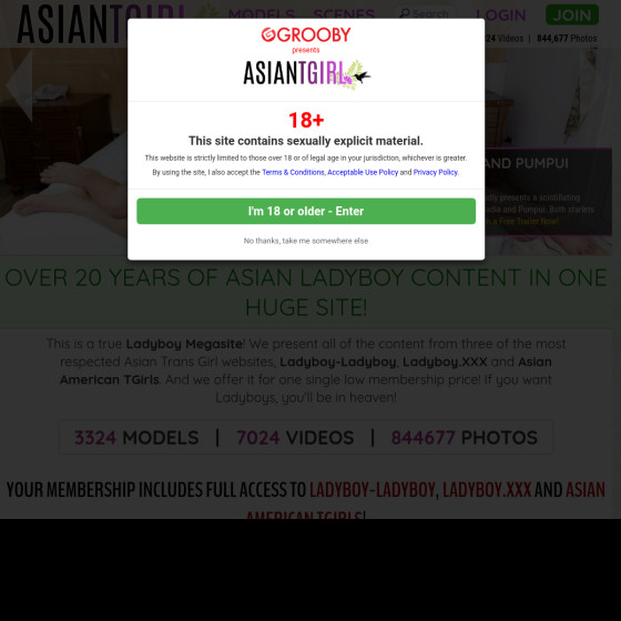 AsianTGirl.com