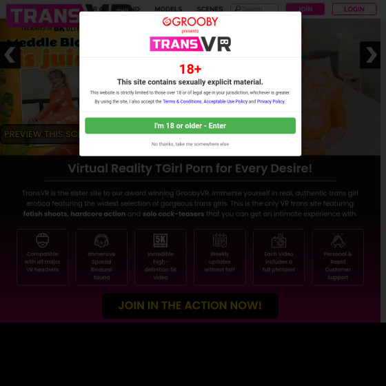 TransVR.com