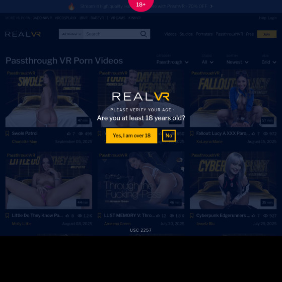 passthrough vr