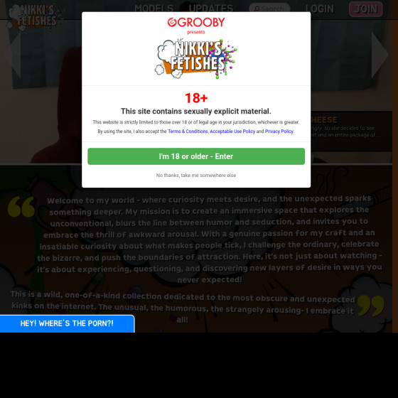 nikkis fetishes